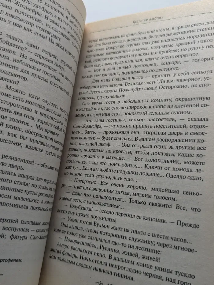 Грешная любовь