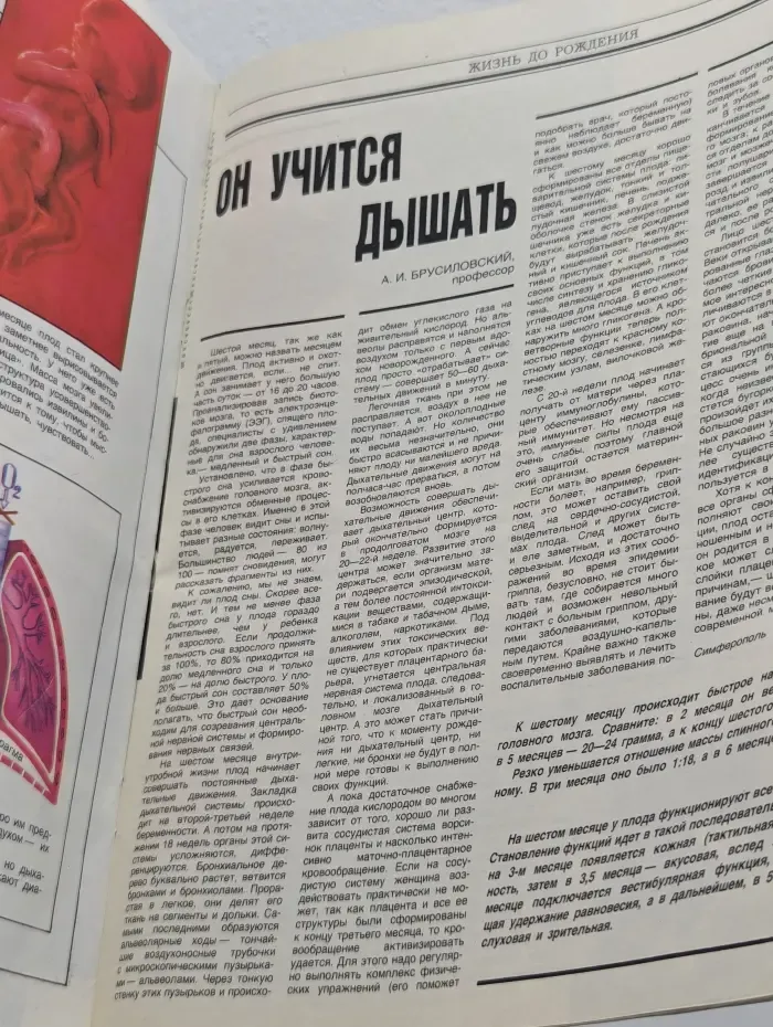 Здоровье. Выпуск №11/1989