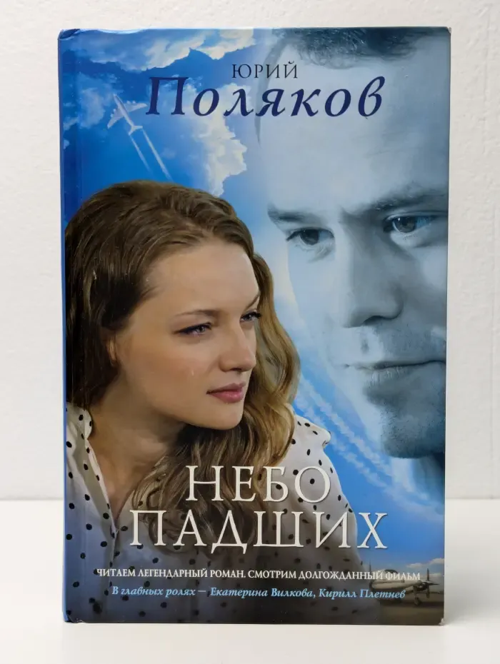 Небо падших