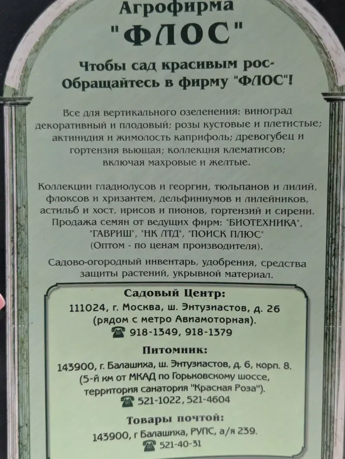 Цветы для вашего сада