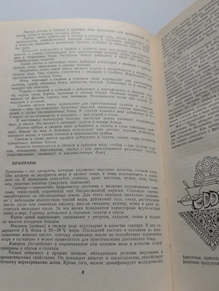 Современная вегетарианская кухня