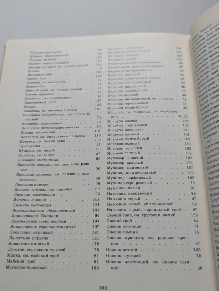 Грибы