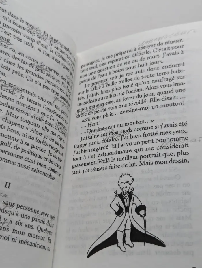 Le Petit Prince. Маленький принц