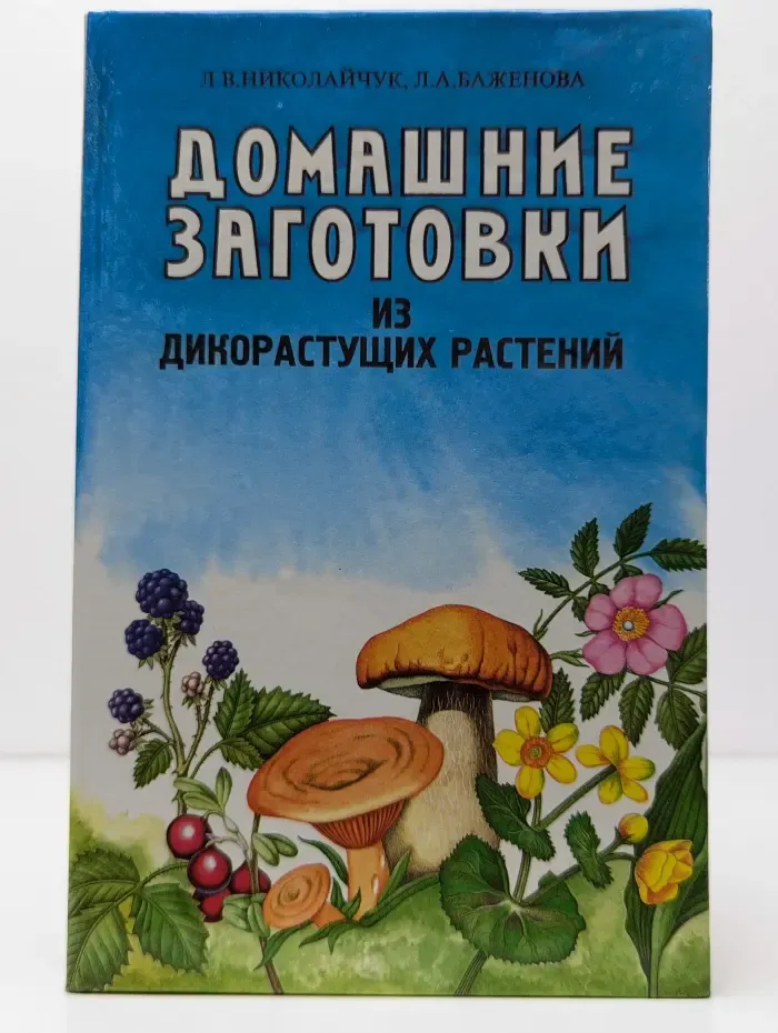 Домашние заготовки из дикорастущих растений