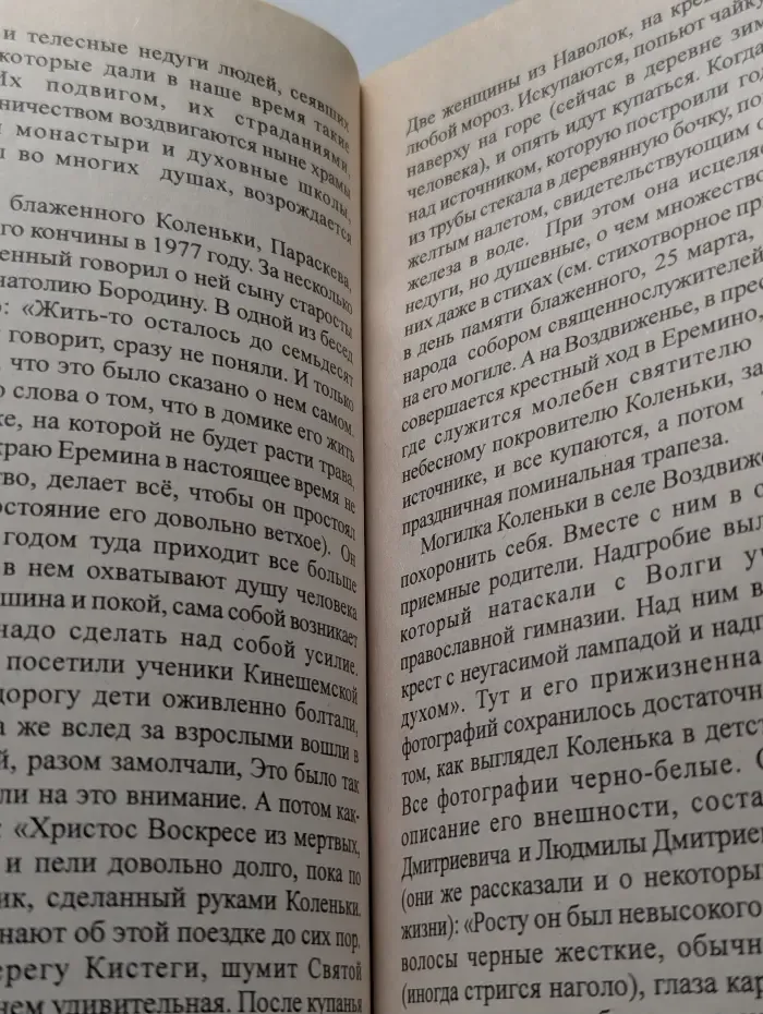 Блаженный инок Николай
