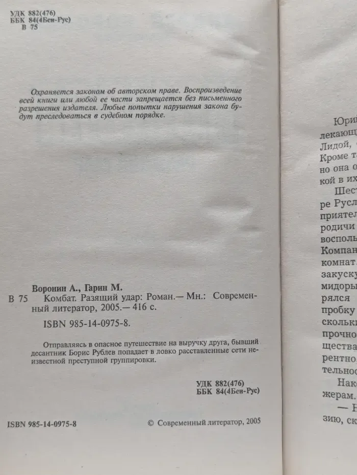 Комбат. Разящий удар
