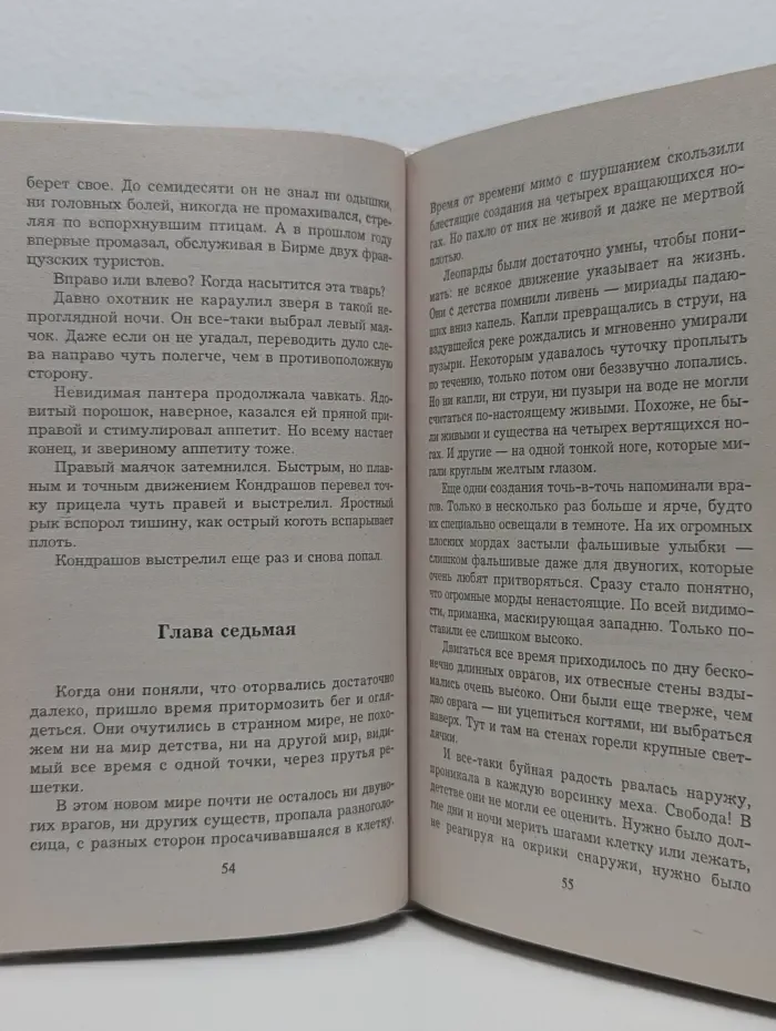 Инструктор. Могила зверя