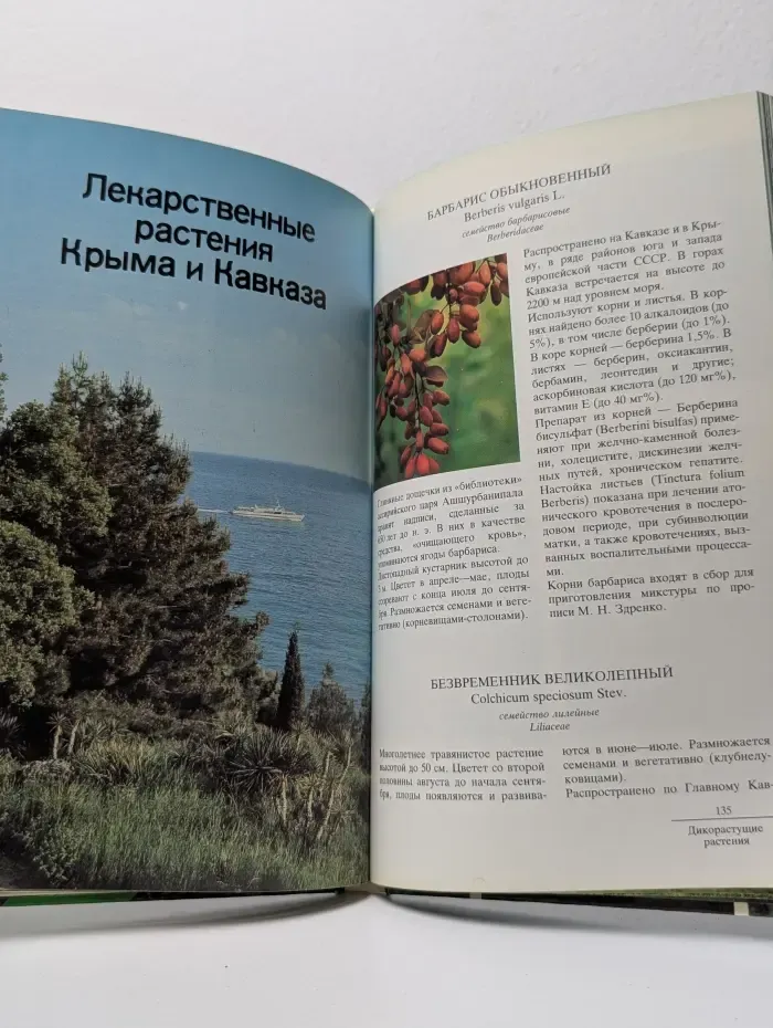 Лекарственные растения СССР. Культивируемые и дикорастущие растения