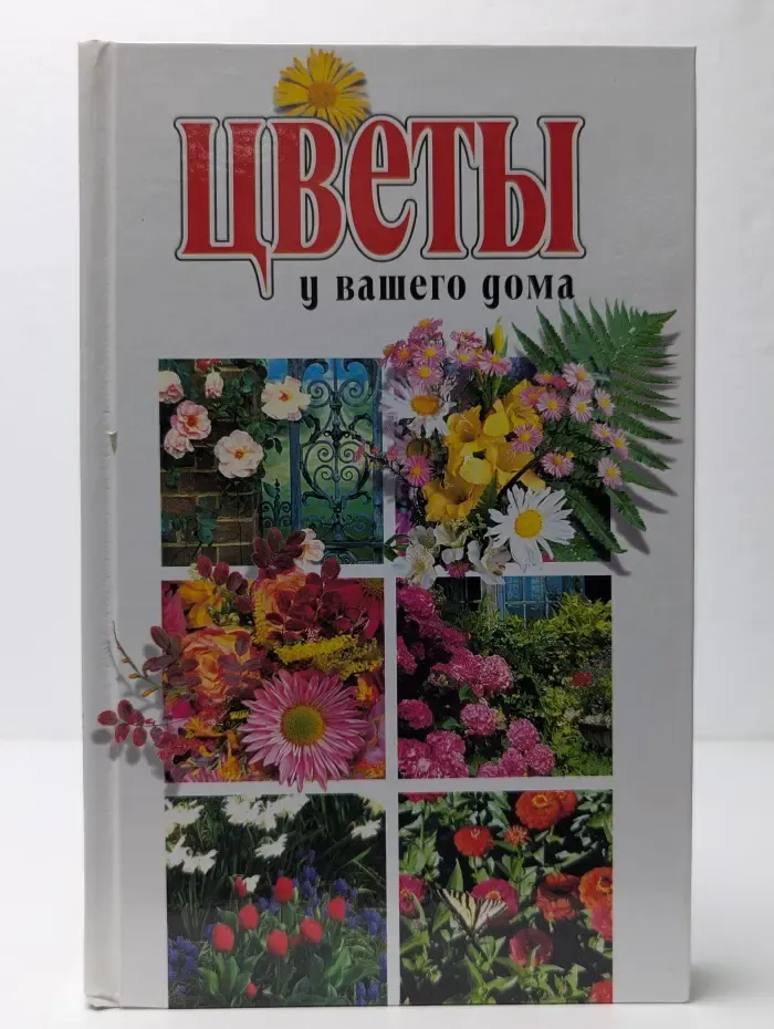 Цветы у вашего дома