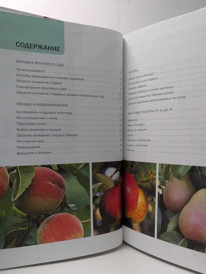 Фруктовый сад