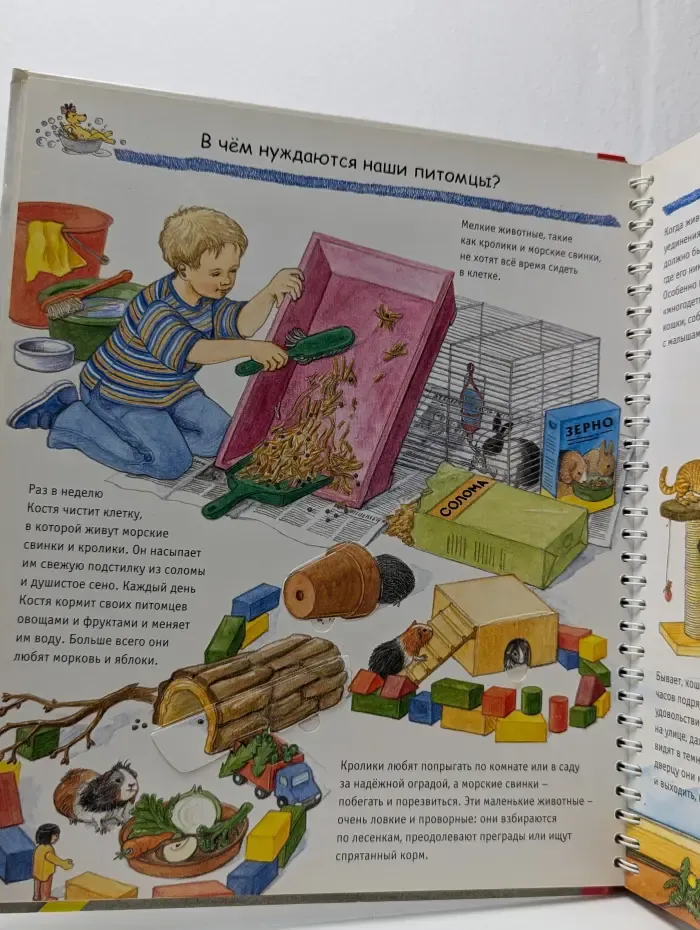 Домашние питомцы