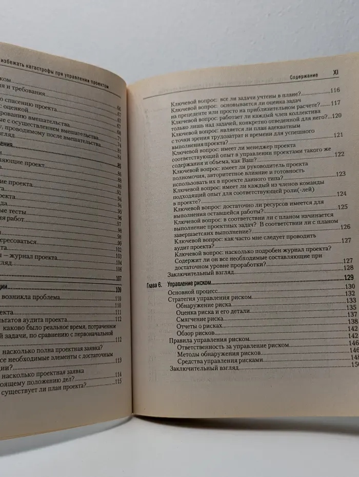 Спасение проекта. Как избежать катастрофы при управлении проектом
