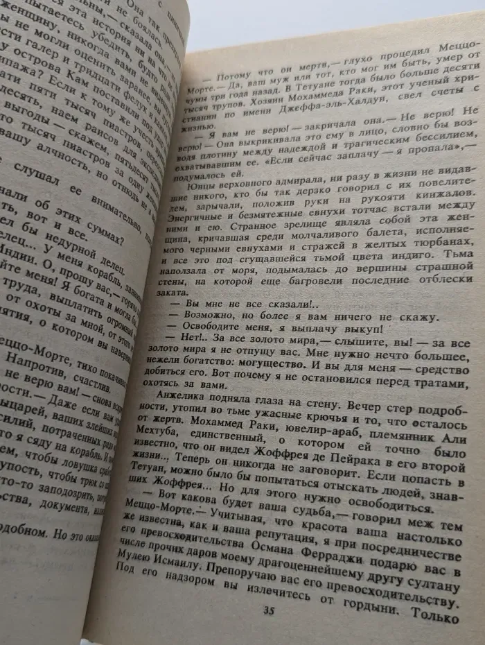 Неукротимая Анжелика. В 2 книгах. Книга 2