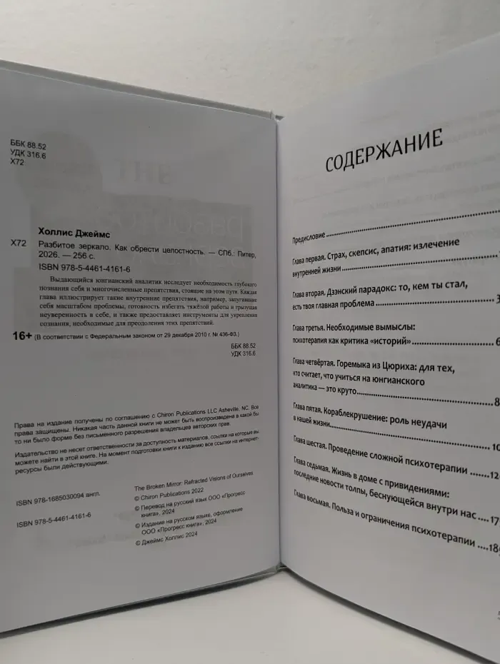Разбитое зеркало. Как обрести целостность