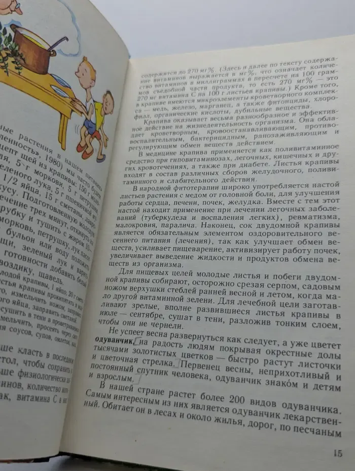 Лесной огород