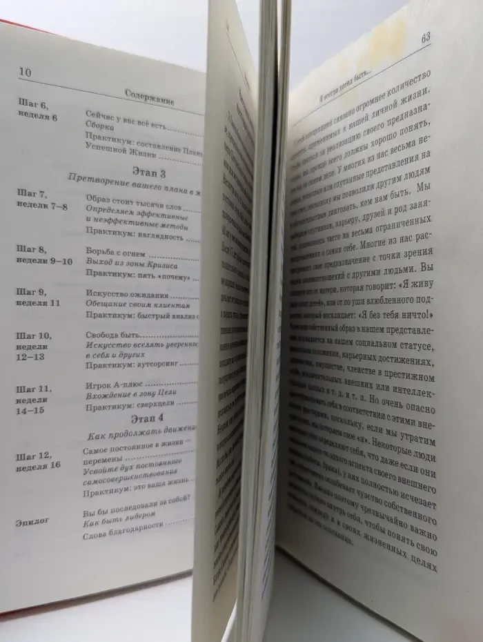Корпорация "Я". Как овладеть искусством быть самим собой. Индивидуальная программа успешной жизни