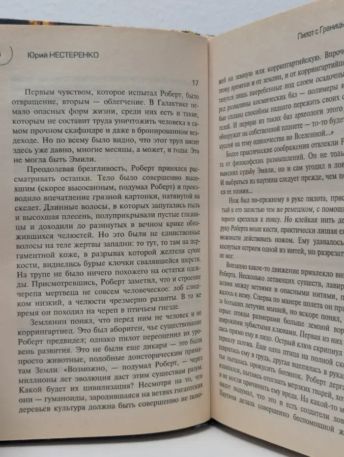 Пилот с границы