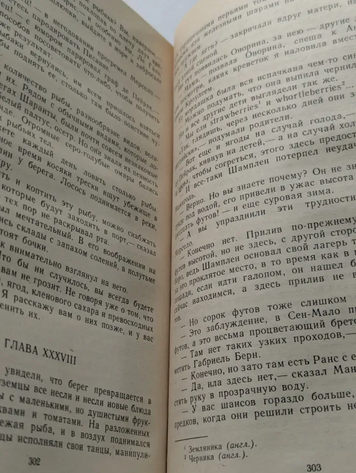 Анжелика и её любовь