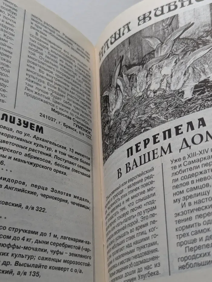 Огородные подсказки. Выпуск № 5/2003