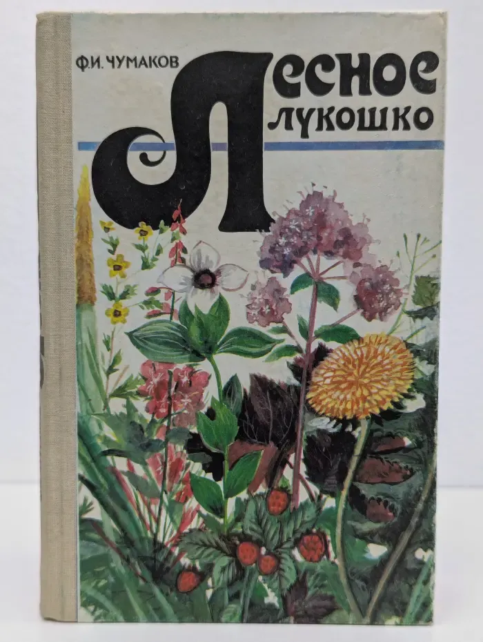 Лесное лукошко