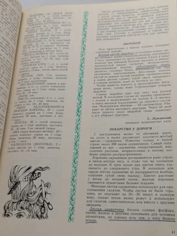 Вам, милые женщины