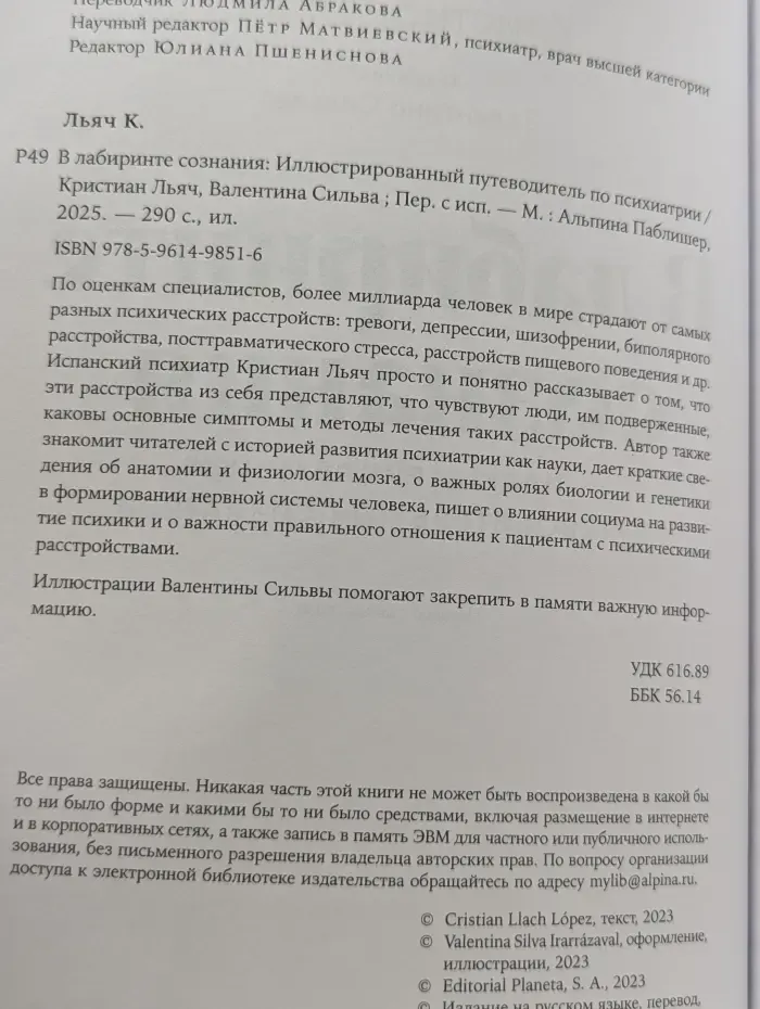 В лабиринте сознания. Иллюстрированный путеводитель по психиатрии