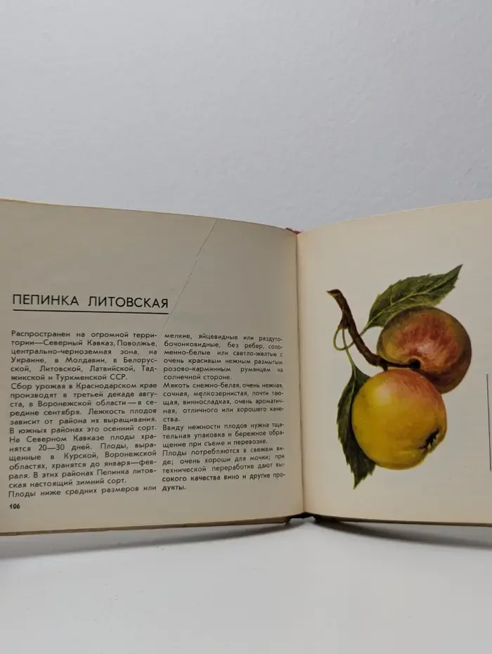 Каталог. Яблоки. Груши. Айва. Сорта семечковых плодов, заготовляемых потребительской кооперацией