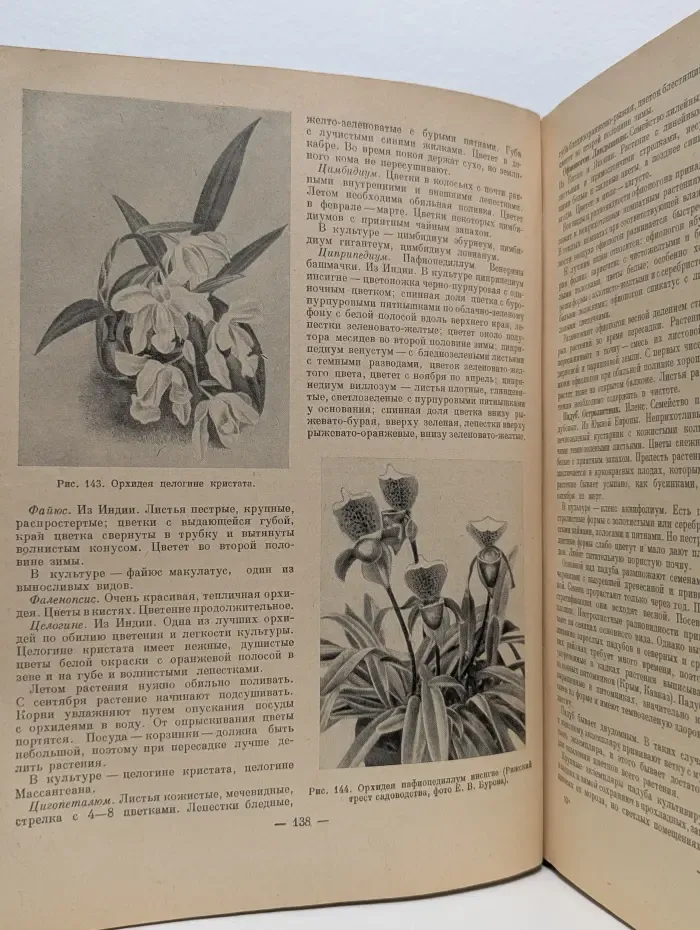 Комнатное садоводство