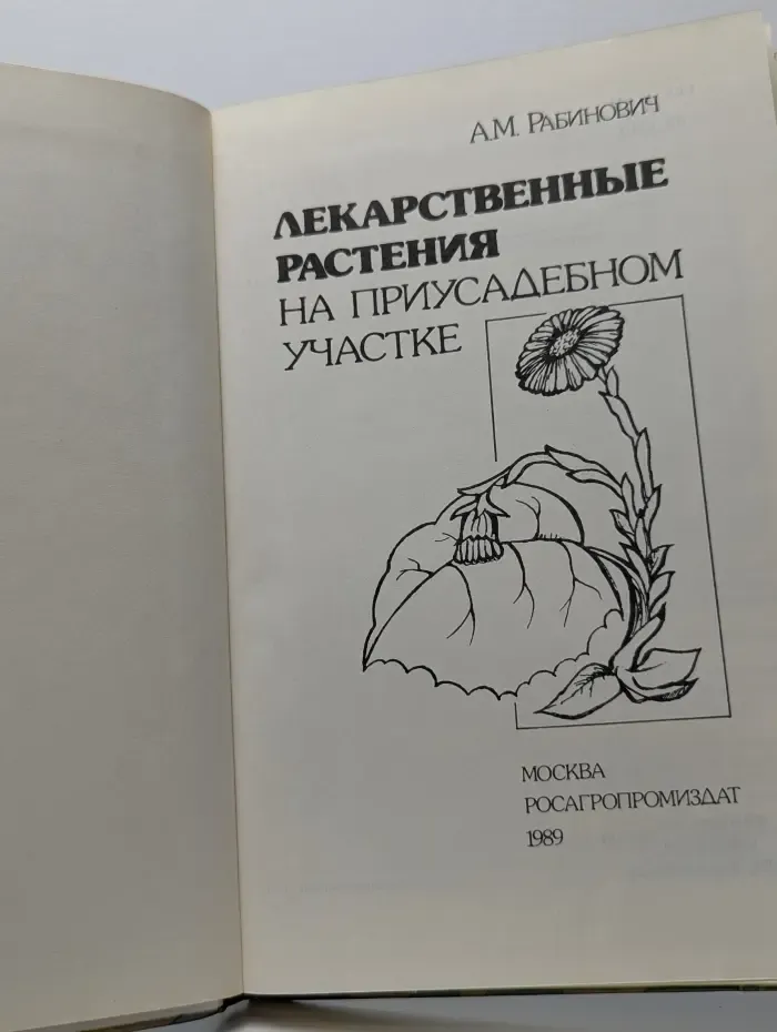 Лекарственные растения на приусадебном участке