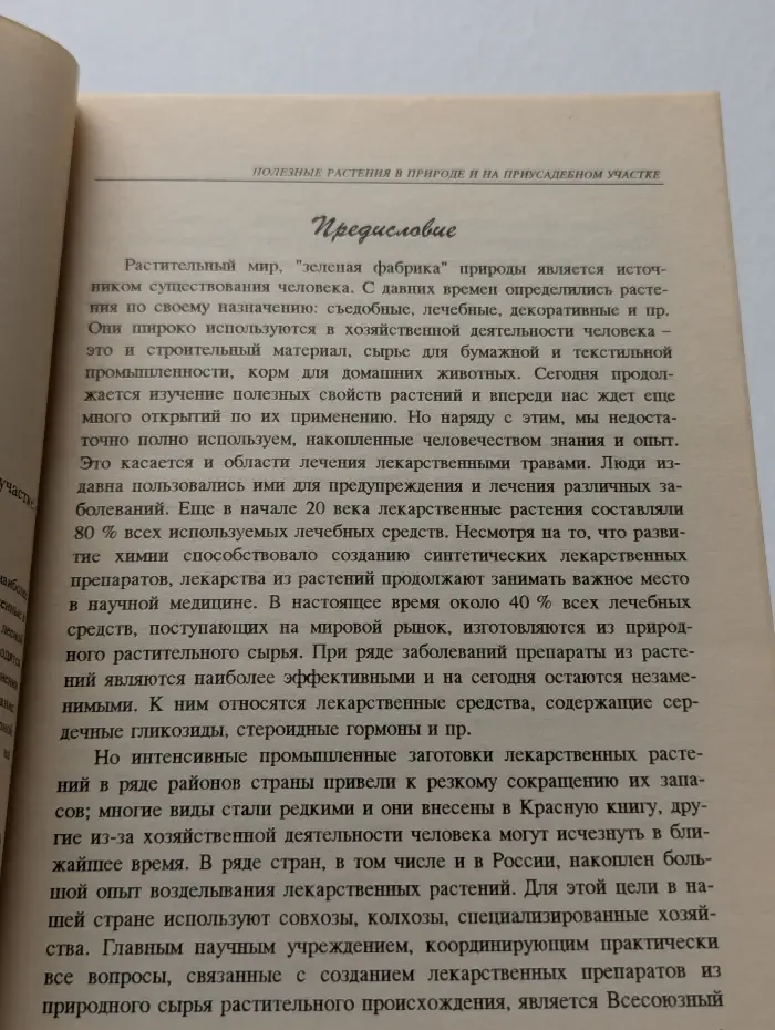 Полезные растения в природе и на приусадебном участке