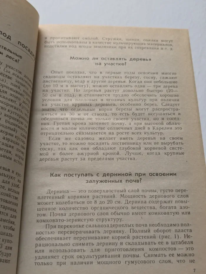 На приусадебном участке. Советы садоводу и огороднику