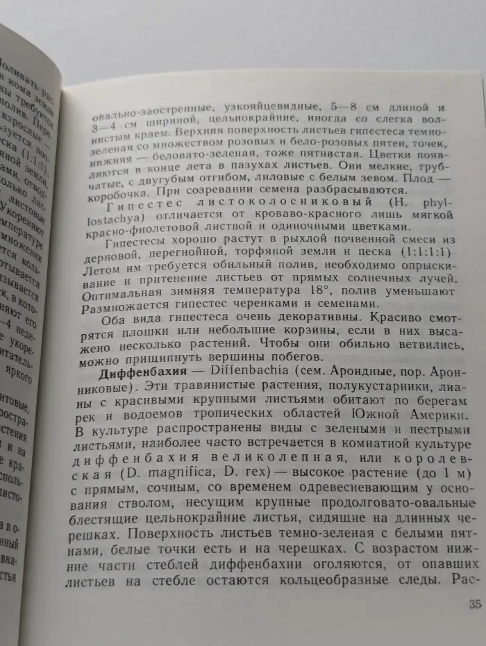 Цветы в вашем доме