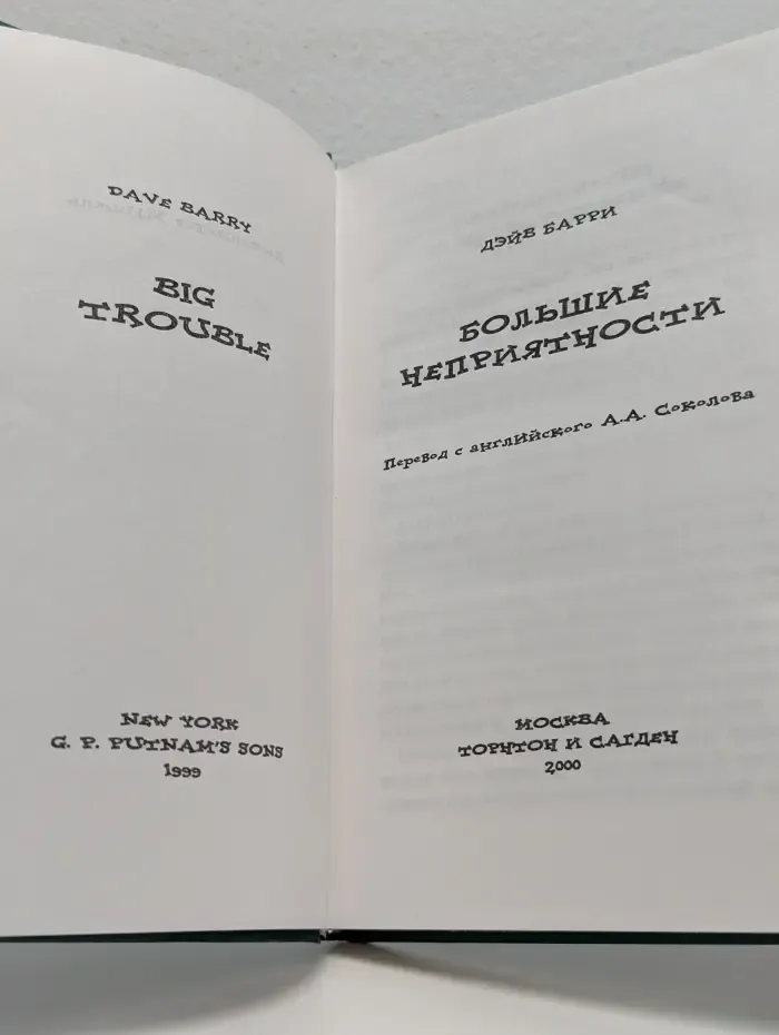Большие неприятности
