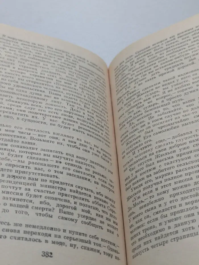 Красное и черное. Хроника XIX века