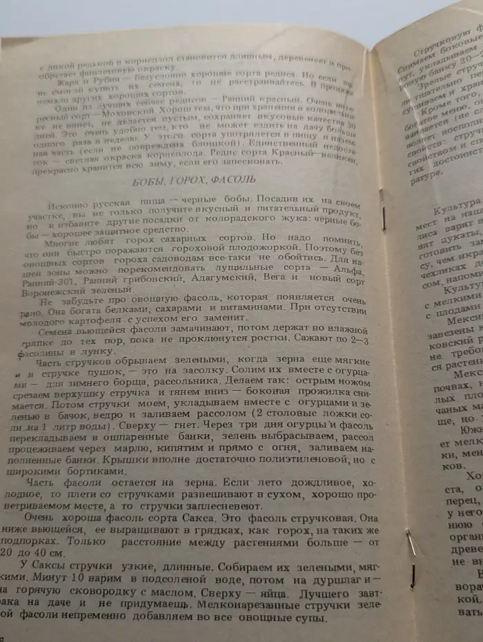 6 соток. Что необходимо знать владельцу участка