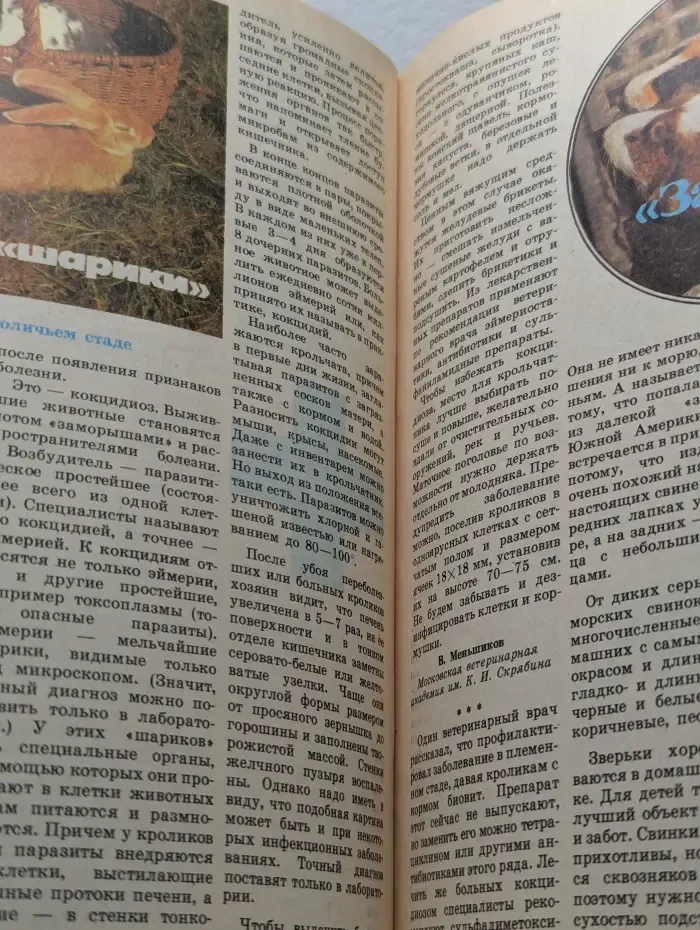 Приусадебное хозяйство. Выпуск №6/1994