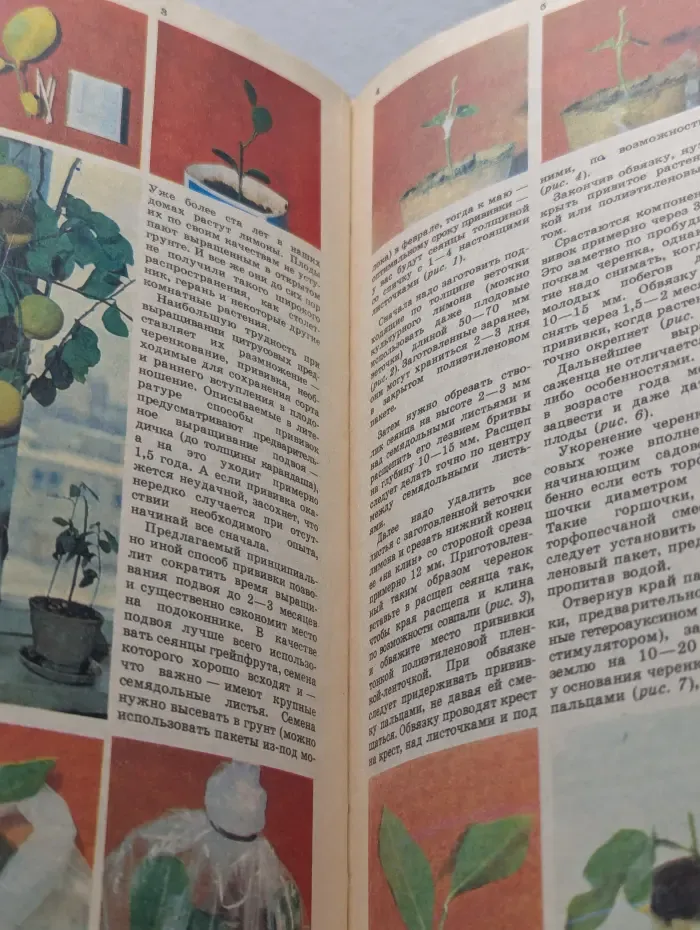 Приусадебное хозяйство. Выпуск №2/1989