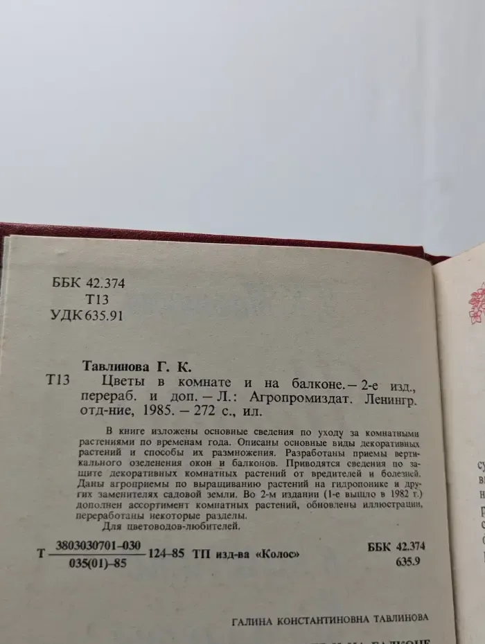 Цветы в комнате и на балконе