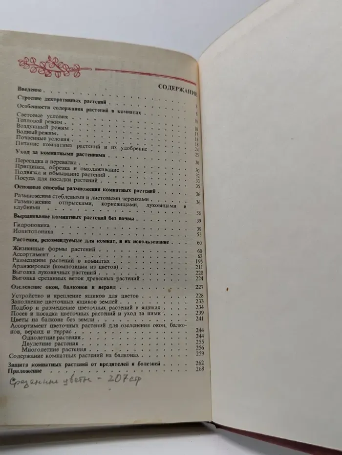 Цветы в комнате и на балконе