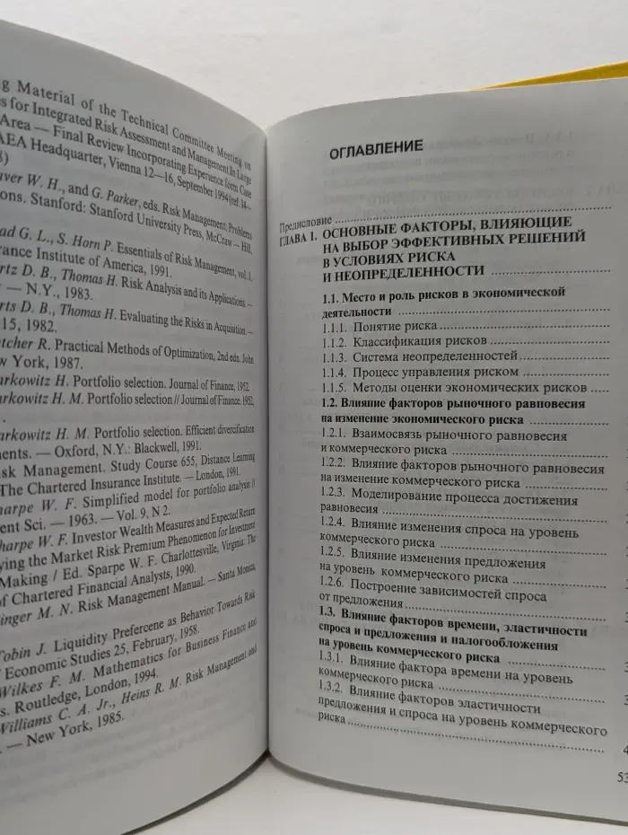 Экономические и финансовые риски