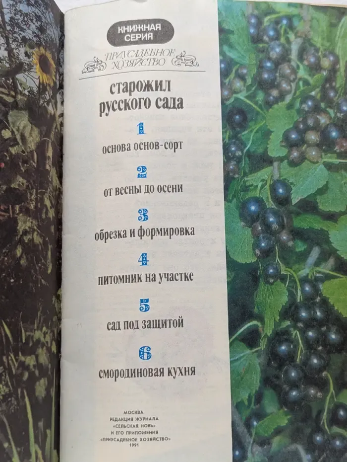 Приусадебное хозяйство. Старожил русского сада
