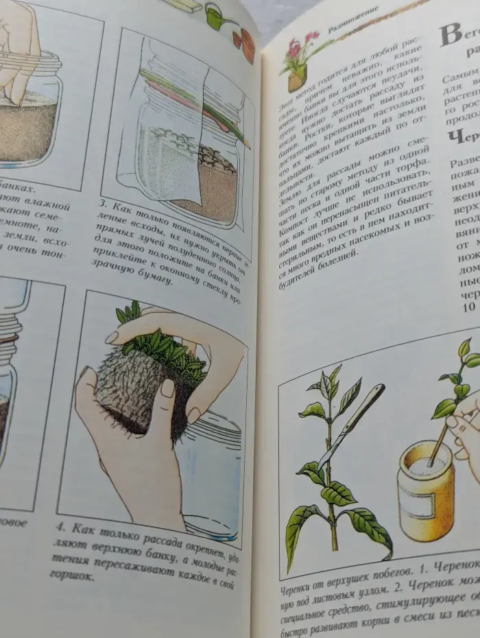 Женщины, книга для вас. Комнатные растения. 365 советов