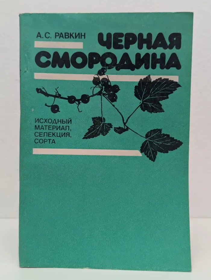 Черная смородина. Исходный материал, селекция, сорта