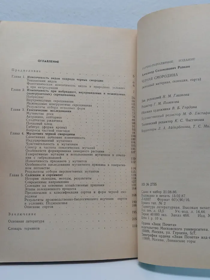 Черная смородина. Исходный материал, селекция, сорта