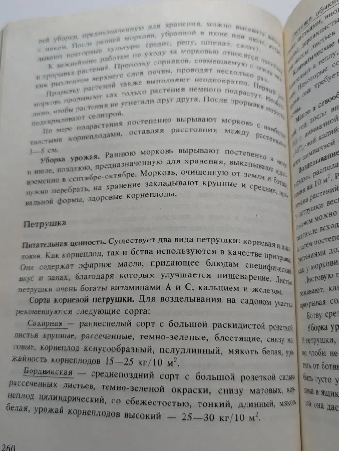 Мое хобби-садовый участок