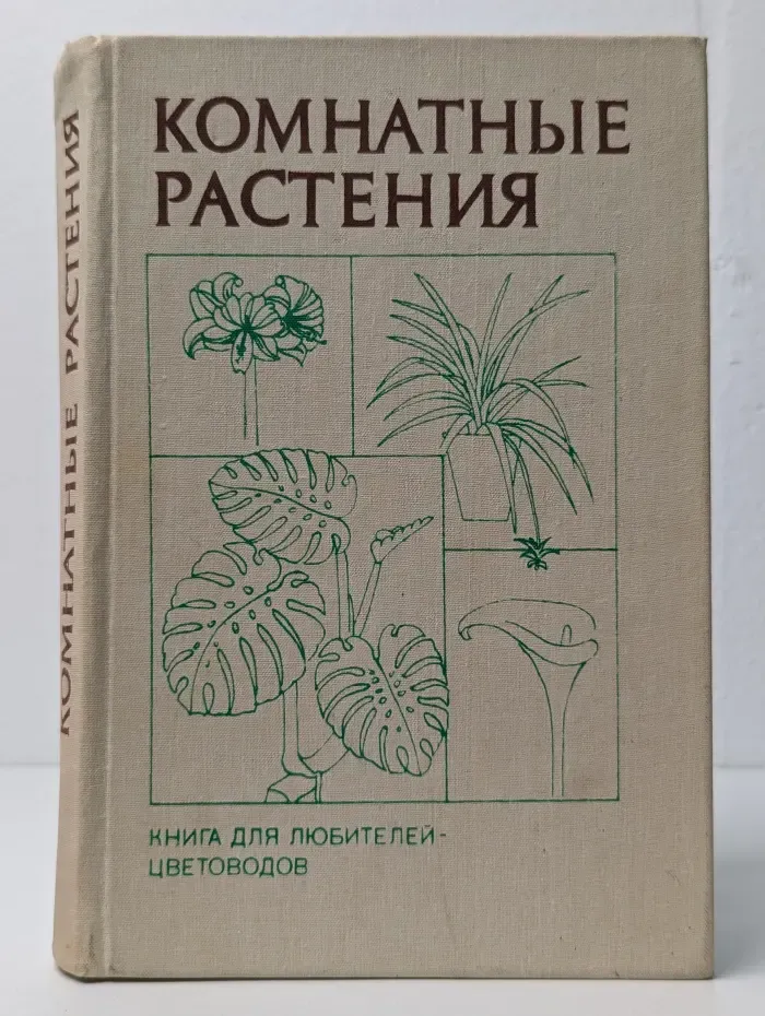 Комнатные растения