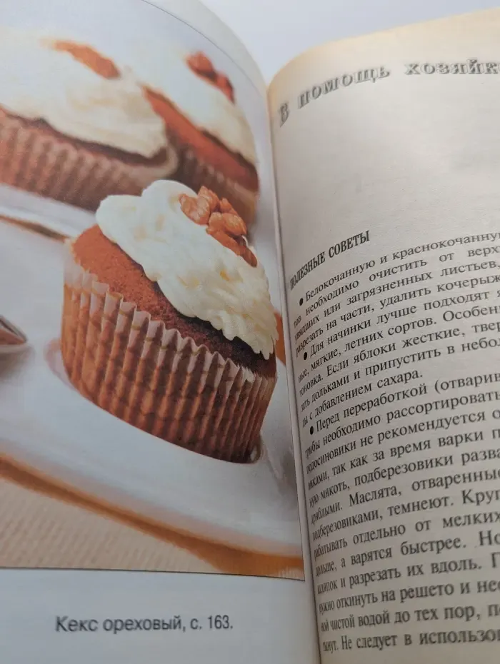1000 праздничных блюд. Фейерверк вкусных шедевров