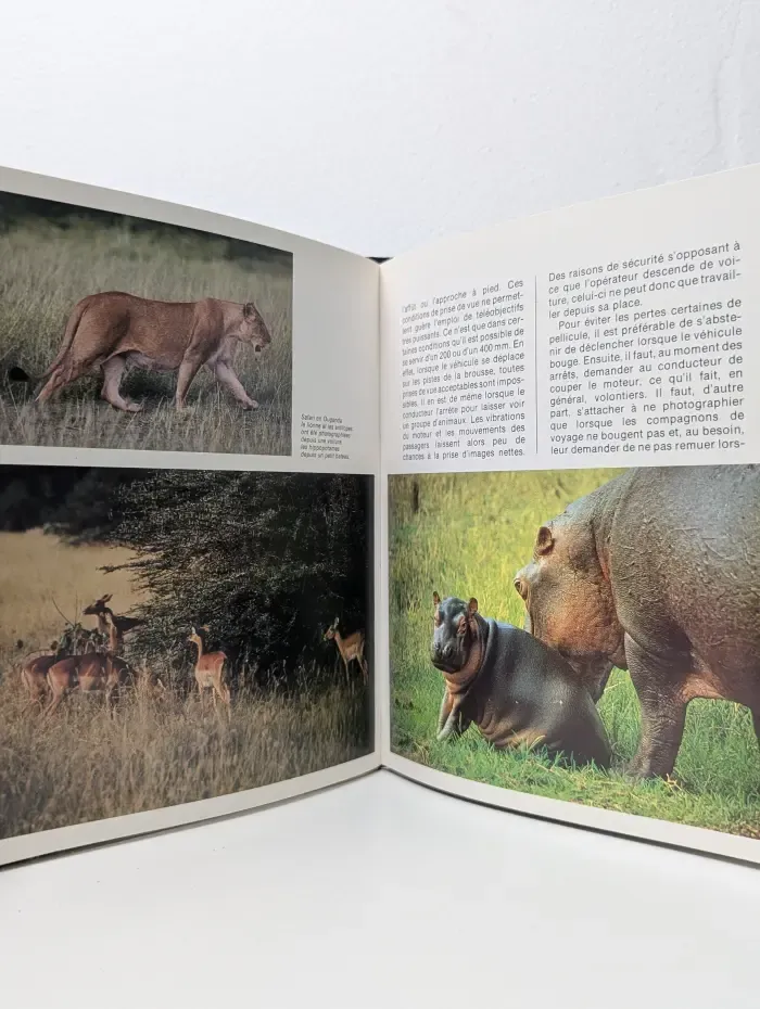 Les Animaux. Materiel, techniques, conseils. Животные. Материалы, методы, советы