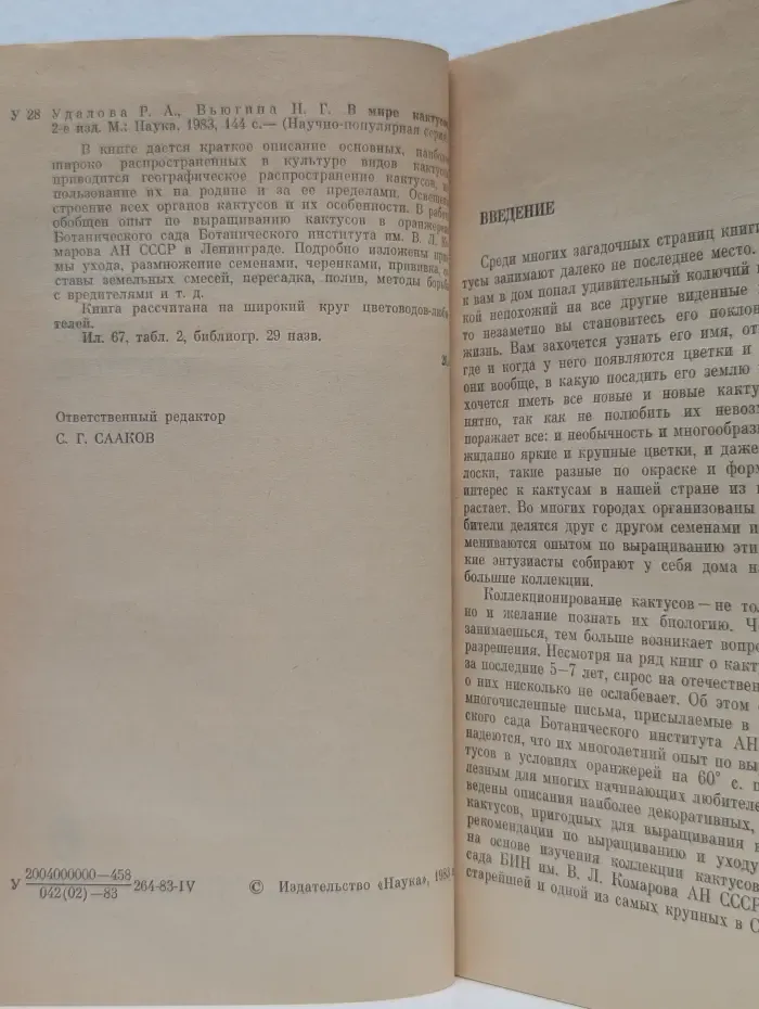 В мире кактусов