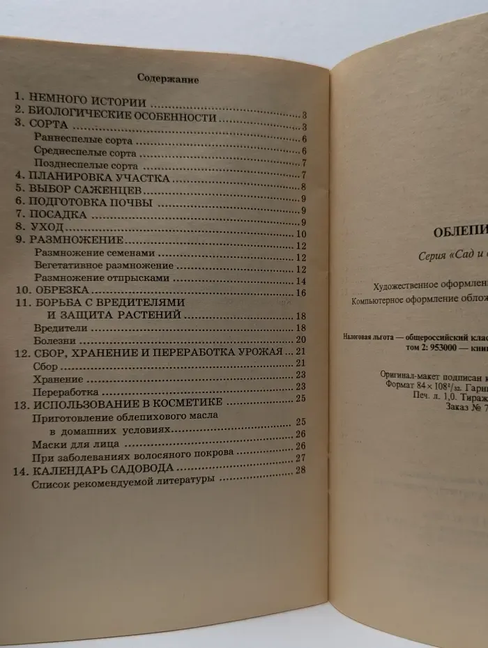 Облепиха